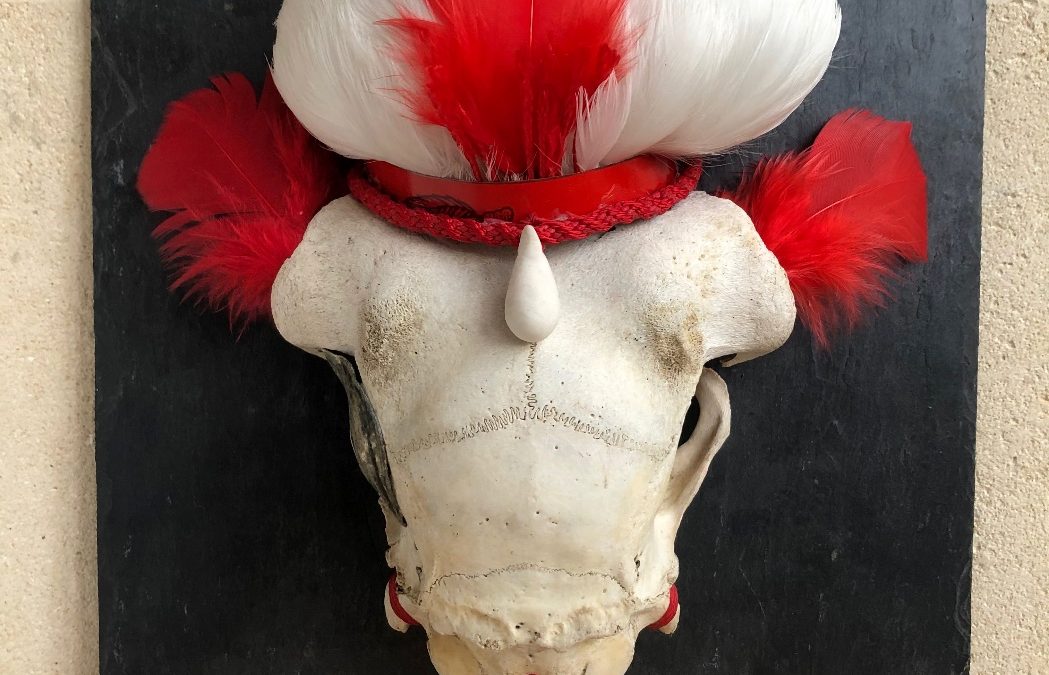 Le confinement, prétexte à un « cabinet de curiosités »